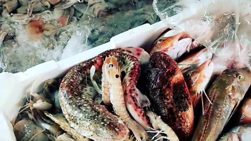 Ci Facciamo Un Bel Brodetto Ristorante Chalet Lido Nordest Ristorante Di Pesce Pizzeria Spiaggia Mare Grottammare San Benedetto Del Tronto Ascoli Piceno Marche 2