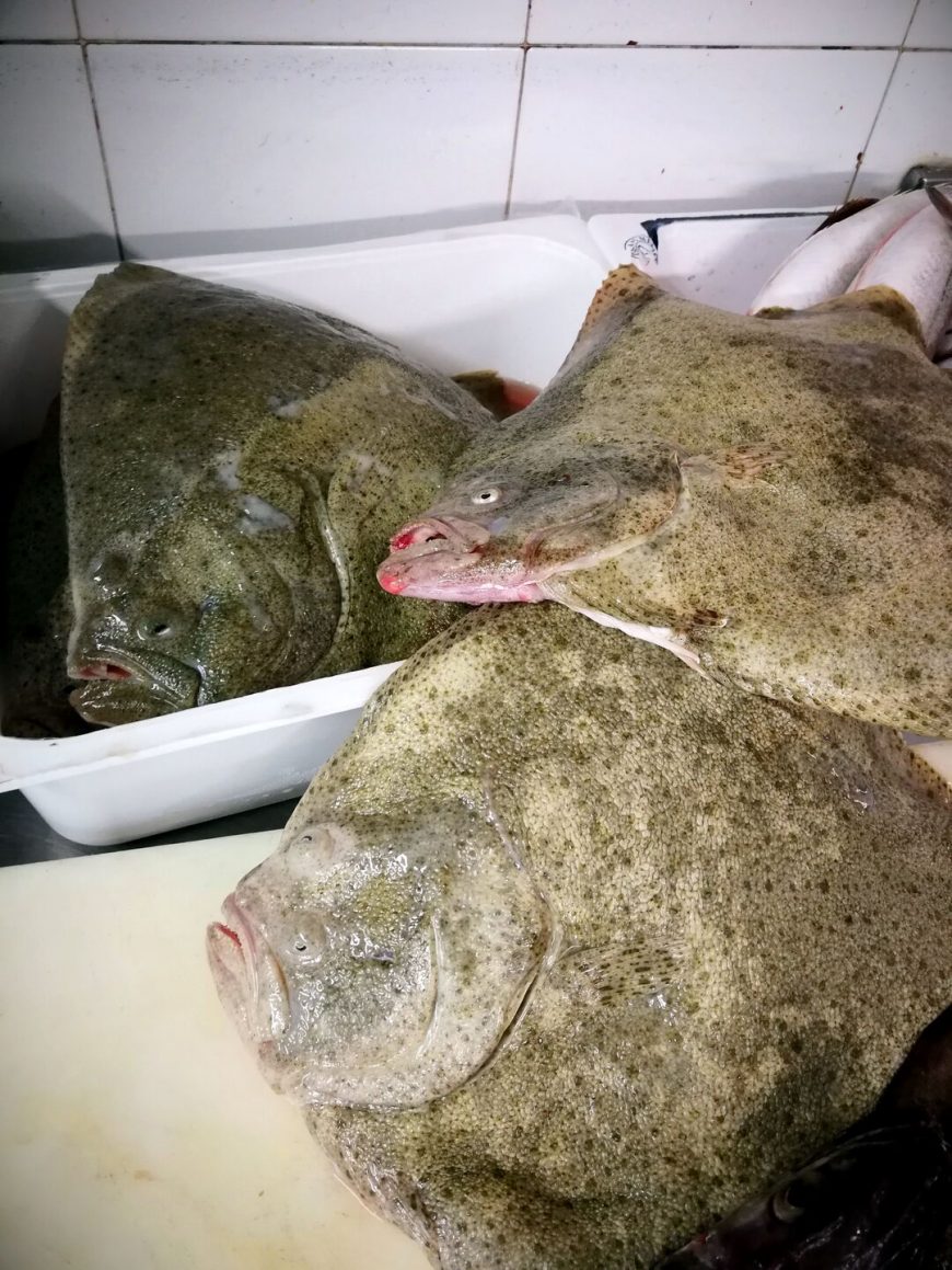 Coppia Di Rombi Ristorante Chalet Lido Nordest Ristorante Di Pesce Pizzeria Spiaggia Mare Grottammare San Benedetto Del Tronto Ascoli Piceno Marche 2