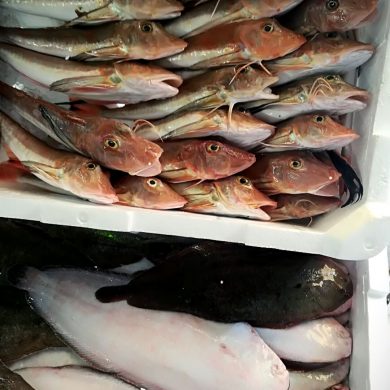 Gallinelle E Sogliole Ristorante Chalet Lido Nordest Ristorante Di Pesce Pizzeria Spiaggia Mare Grottammare San Benedetto Del Tronto Ascoli Piceno Marche 2