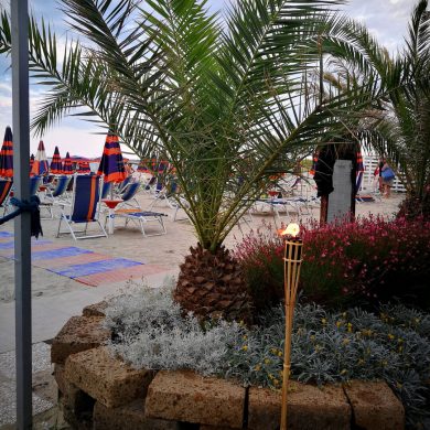 Il Verde E La Spiaggia Ristorante Chalet Lido Nordest Ristorante Di Pesce Pizzeria Spiaggia Mare Grottammare San Benedetto Del Tronto Ascoli Piceno Marche