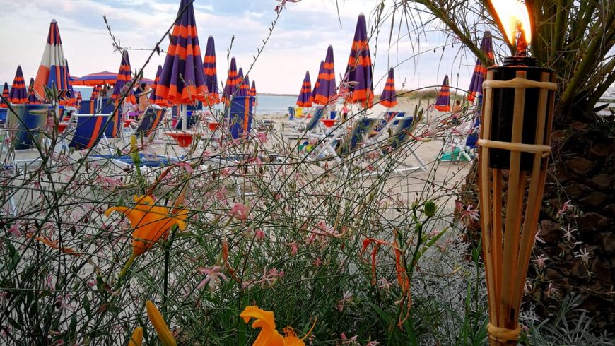 Img_20180718_200628 Ristorante Chalet Lido Nordest Ristorante Di Pesce Pizzeria Spiaggia Mare Grottammare San Benedetto Del Tronto Ascoli Piceno Marche