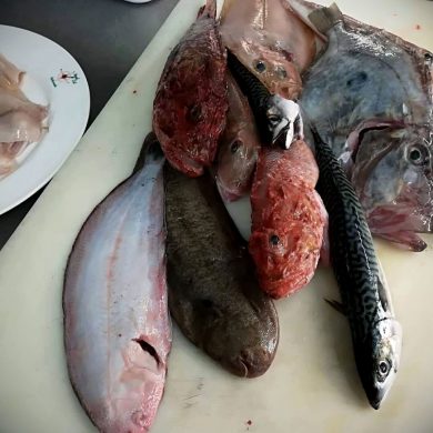 Mix Brodetto E Altro Ristorante Chalet Lido Nordest Ristorante Di Pesce Pizzeria Spiaggia Mare Grottammare San Benedetto Del Tronto Ascoli Piceno Marche 2