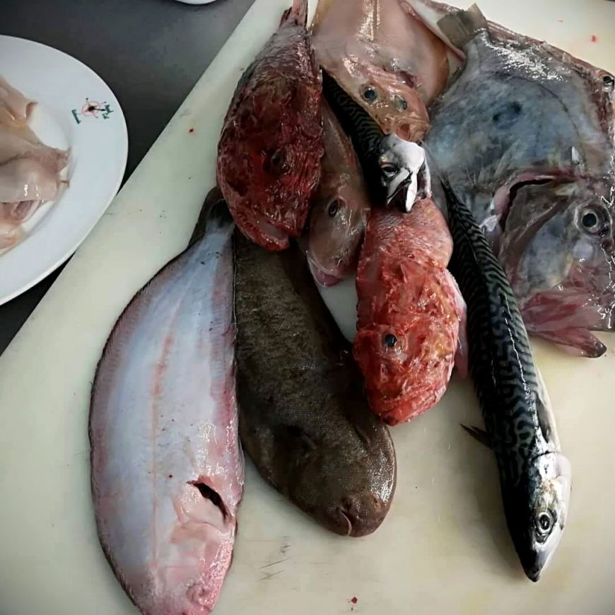 Mix Brodetto E Altro Ristorante Chalet Lido Nordest Ristorante Di Pesce Pizzeria Spiaggia Mare Grottammare San Benedetto Del Tronto Ascoli Piceno Marche 2