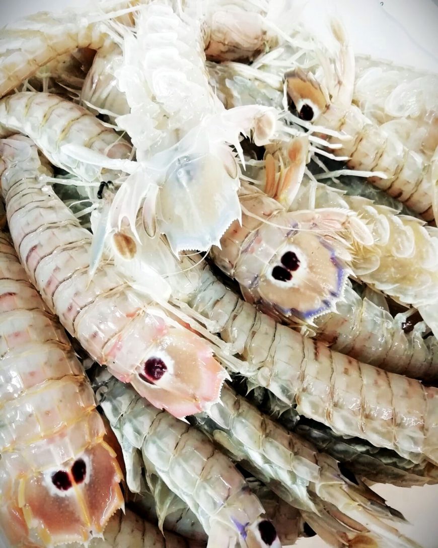 Panocchie Ristorante Chalet Lido Nordest Ristorante Di Pesce Pizzeria Spiaggia Mare Grottammare San Benedetto Del Tronto Ascoli Piceno Marche 2