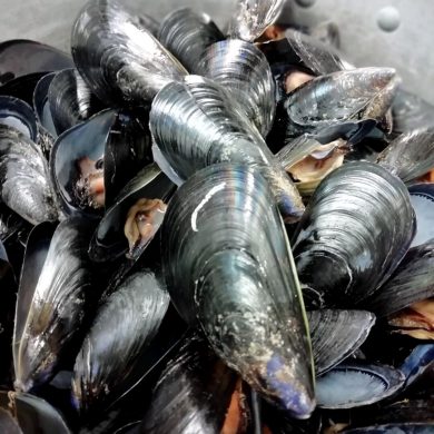 Pepata Di Cozze Ristorante Chalet Lido Nordest Ristorante Di Pesce Pizzeria Spiaggia Mare Grottammare San Benedetto Del Tronto Ascoli Piceno Marche 1