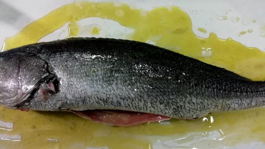Pronta Da Cuocere Ristorante Chalet Lido Nordest Ristorante Di Pesce Pizzeria Spiaggia Mare Grottammare San Benedetto Del Tronto Ascoli Piceno Marche 1