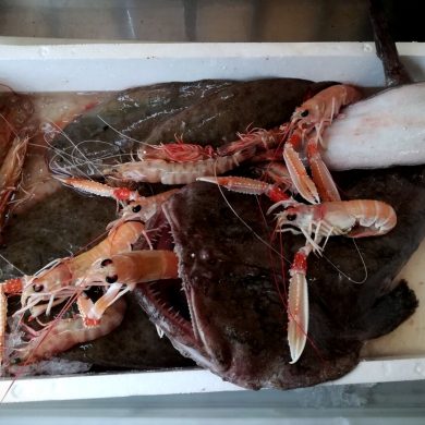 Pronti Per Essere Grigliati Ristorante Chalet Lido Nordest Ristorante Di Pesce Pizzeria Spiaggia Mare Grottammare San Benedetto Del Tronto Ascoli Piceno Marche 2