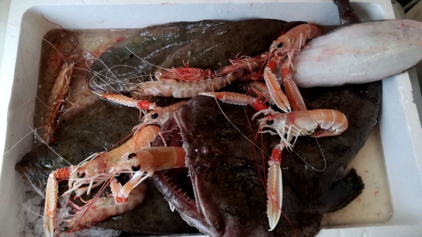 Pronti Per Essere Grigliati Ristorante Chalet Lido Nordest Ristorante Di Pesce Pizzeria Spiaggia Mare Grottammare San Benedetto Del Tronto Ascoli Piceno Marche 2