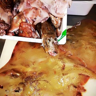 Razze Ristorante Chalet Lido Nordest Ristorante Di Pesce Pizzeria Spiaggia Mare Grottammare San Benedetto Del Tronto Ascoli Piceno Marche 2