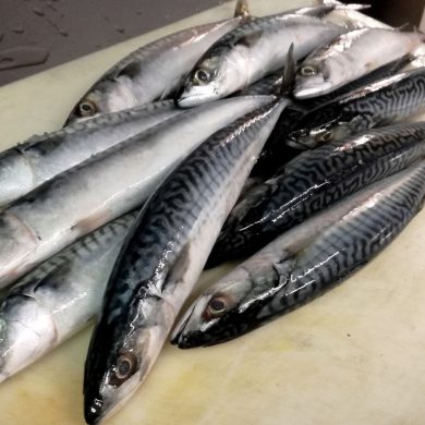 Sgonbri Appena Arrivati Ristorante Chalet Lido Nordest Ristorante Di Pesce Pizzeria Spiaggia Mare Grottammare San Benedetto Del Tronto Ascoli Piceno Marche 2